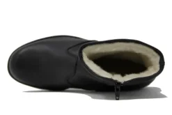 Base
