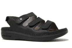 Cambrian Delphi 3 Sandal