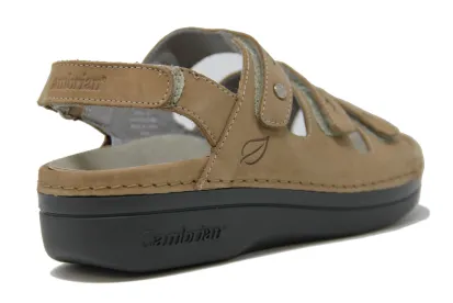 Delphi 3 - Womens