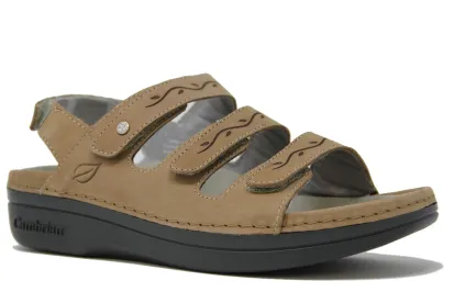 Delphi 3 - Womens