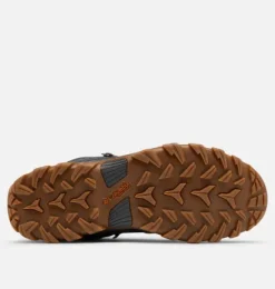 Newton Ridge Plus II - Mens