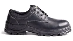 Terra Albany Men's Safety Oxford - Canadian Footwear